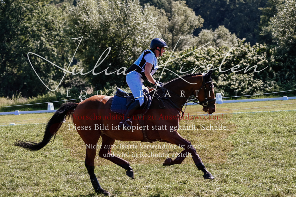 DSC_2013 | Pferde- und Turnierfotografie in Westsachsen. Pferdeportraits, Auftragszeichnungen und intuitive Kunst.