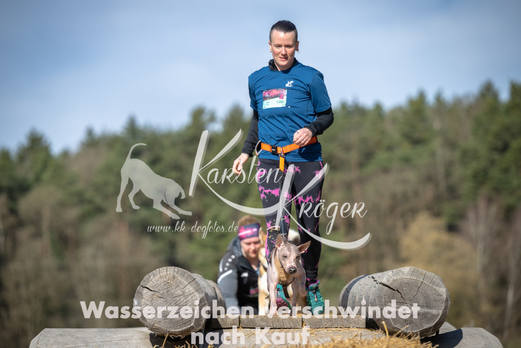1011_ZZ99338 | kk-dogfotos
