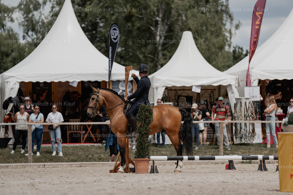 WE_ST_Stoib_311_PI2025_1208 | Pferd International München 2025