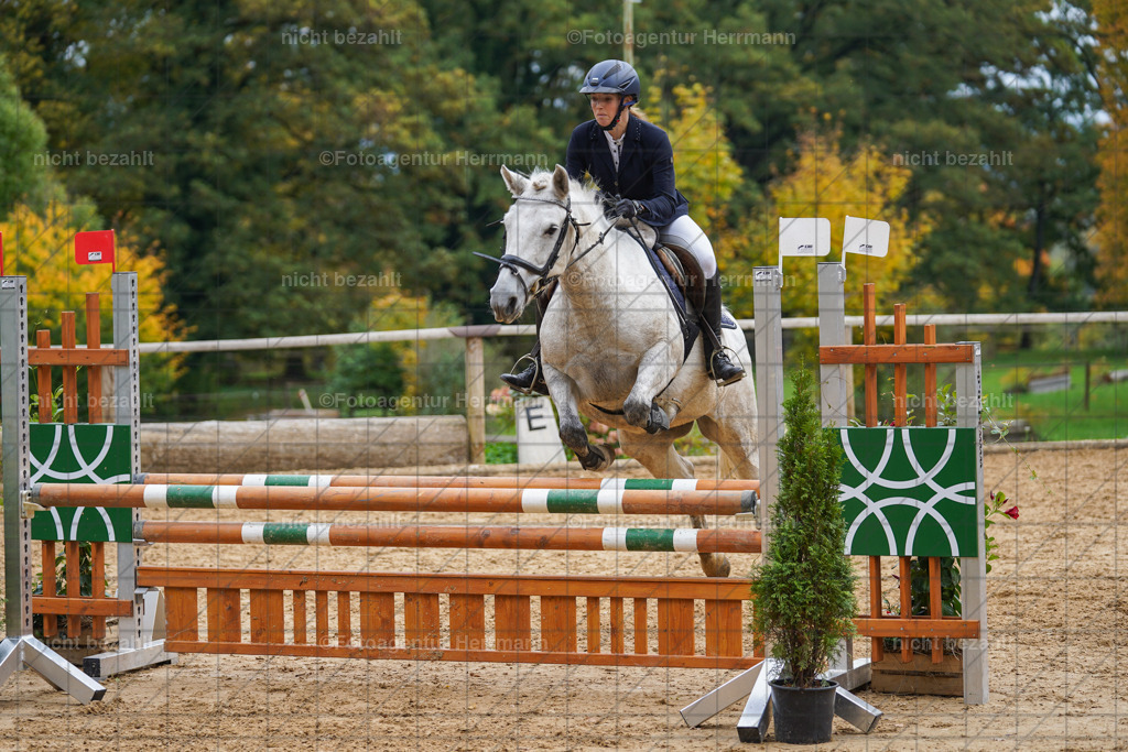 20221009-FAH08767 | Diessen am Ammersee, 2022, Dressur- und Springturnier, Reitsportbilder, Turnierfotografen Bayern, Pferdefotografen, Fotoagentur Herrmann, Turnierbilder
