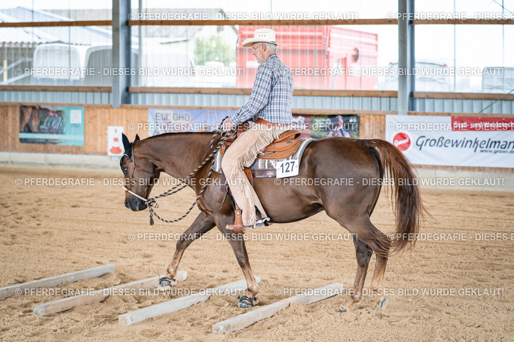 DSC08722 | Pferdegrafie