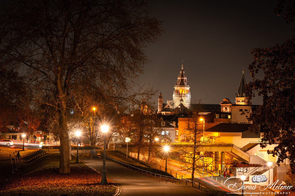 Der Mainzer Dom | Der Mainzer Dom