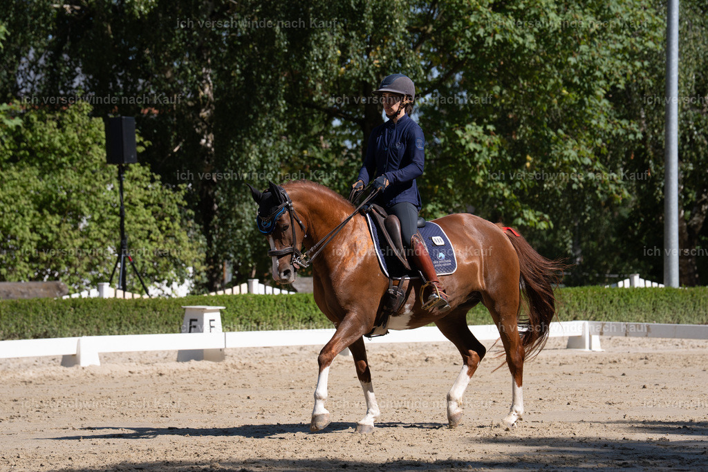 WL_DR_86_sinafilmart_IN06920 | working equitationturnier fotograf videograf stoibphotography marixx film working equitation deutschland reitsport turnierfotografie eventfotografie equestrian events