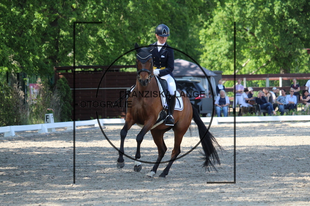 IMG_5277 | franziskalange - Realisiert mit Pictrs.com