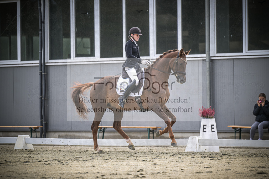 DOS_1906 | Entdecke hochwertige Reitturnierfotos von Foto Oger. Professionell, emotional und authentisch – jetzt Lieblingsmomente im Shop bestellen.Deutschlandweite Turnierfotografie. - Realisiert mit Pictrs.com