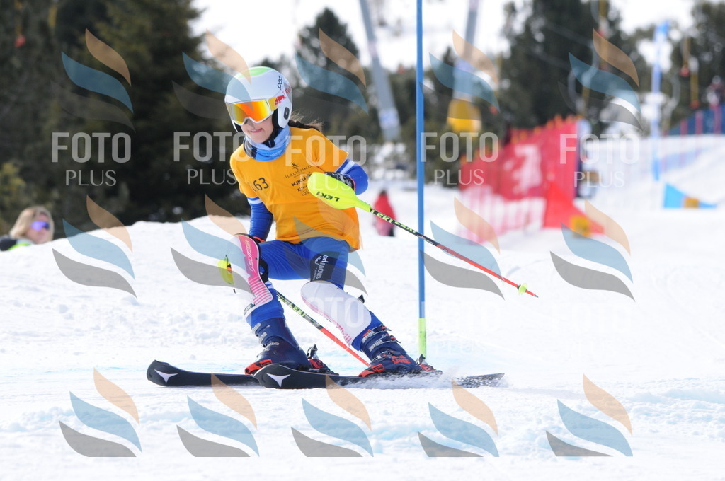 C7350 | holidayphoto