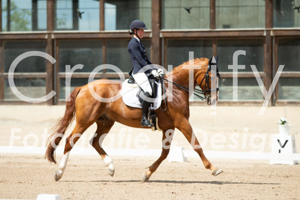 IMG_5742 | Creatify Fotografie