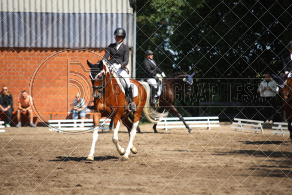 P64A7859 | photographesa-joergens - Realisiert mit Pictrs.com