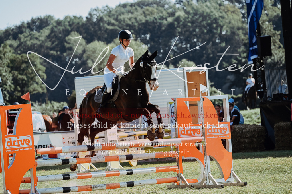 DSC_5895 | Pferde- und Turnierfotografie in Westsachsen. Pferdeportraits, Auftragszeichnungen und intuitive Kunst.
