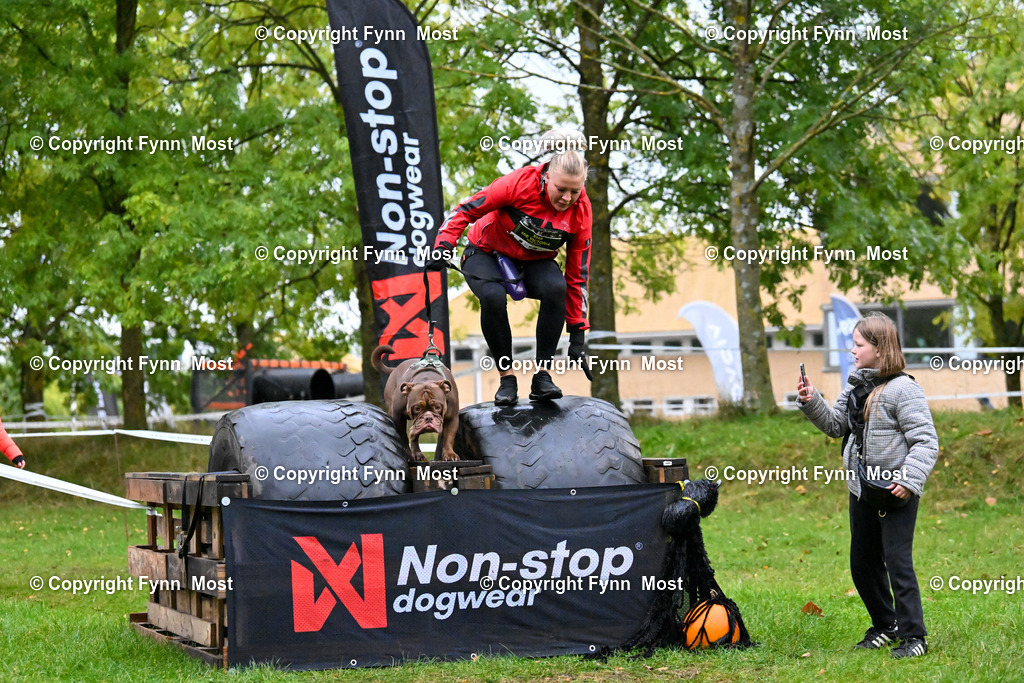 DSC_1889 | Hallo und herzlich Willkommen auf meiner Shop-Seite Fynn Most.

Ich wünsche Dir viel Spaß beim stöbern durch die Bilder, wenn Du Fragen hast oder Bilder vermisst, kannst du mir gerne eine Nachricht schreiben. - Realisiert mit Pictrs.com