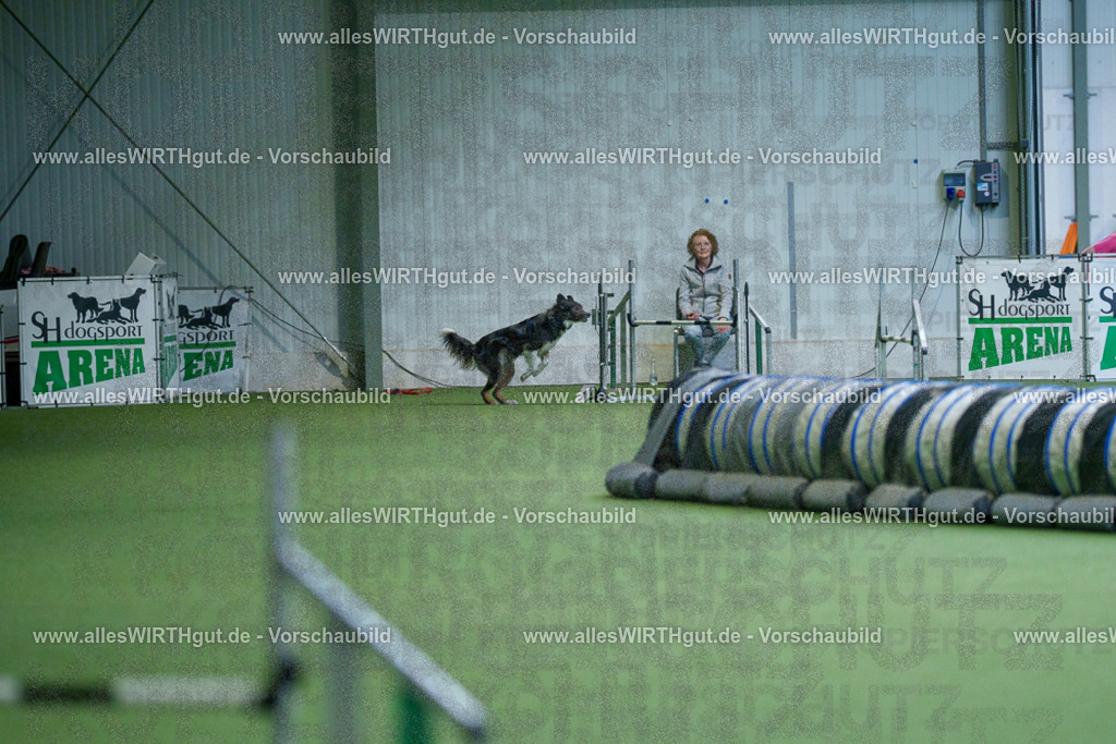 @allesWIRTHgut_Tierfotografie - www.allesWIRTHgut.de - 2604251102-7R500927 | Professionelle Tierfotografie in Mönchengladbach von Daniel Wirth (allesWIRTHgut). Liebevolle & natürliche Bilder von Hunden & Katzen für unvergessliche Erinnerungen.