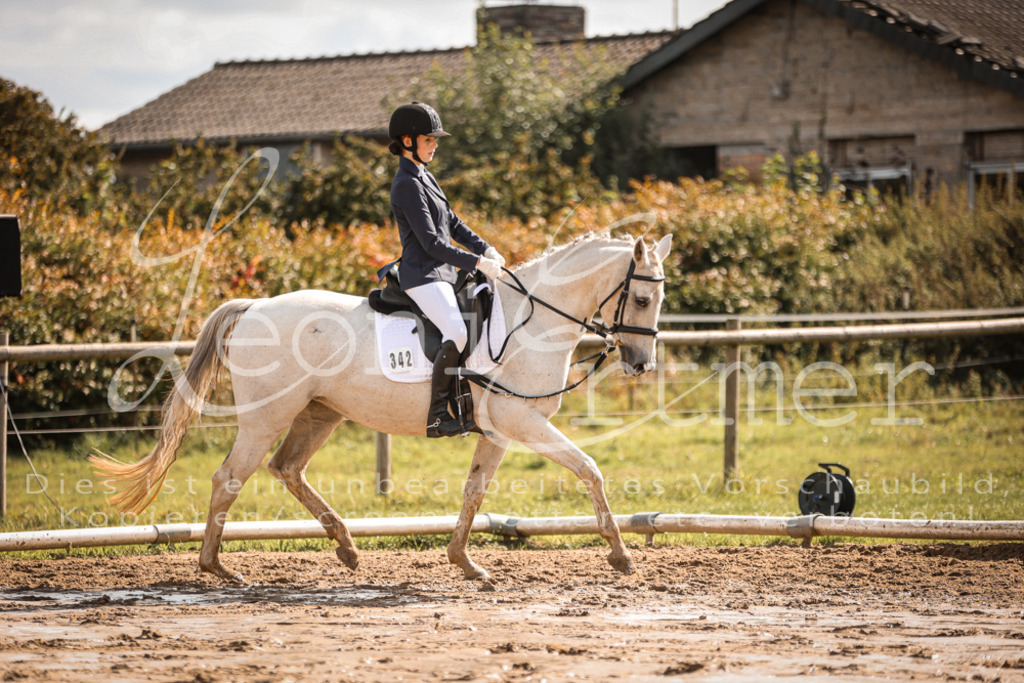 02.SoDrWB00085 | Leoni Ertmer Photography - Realisiert mit Pictrs.com