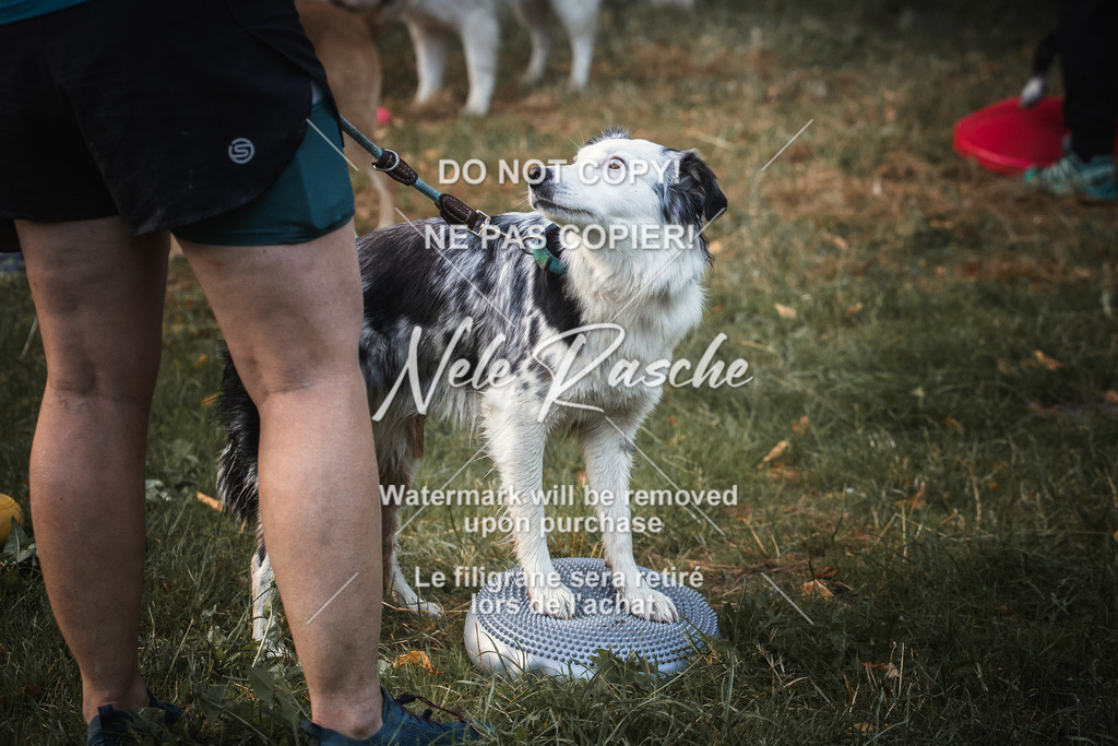 nelerasche_slaw24Sa_28 | nelerasche