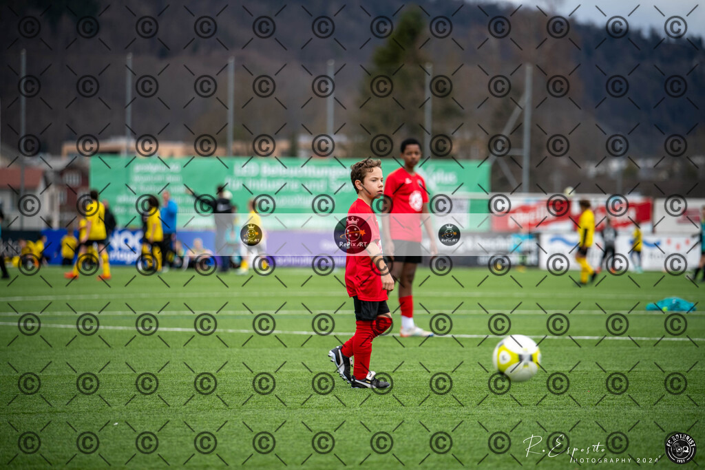 20240316_KS-Turnier D-Jun.1215_1438_045 | Sport und Naturfotografie von Roberto Esposito zeigt echte Momente Bewegung und die Schönheit der Natur. Ausdrucksstarke Bilder schaffen Emotionen.