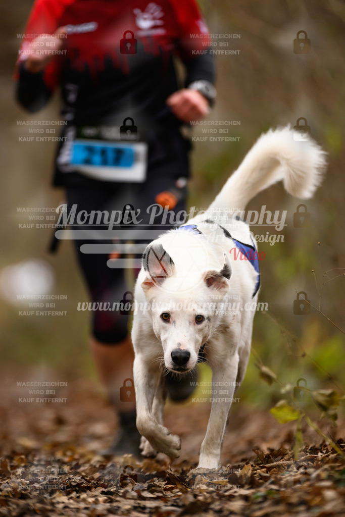 MompixPhotography_Eschau2024_CCC-74 | PayLife