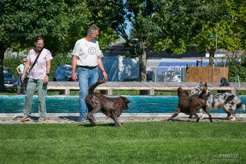 055_202509_4Hundebadetag_NZ9_2265 | proPHOTO - Realisiert mit Pictrs.com
