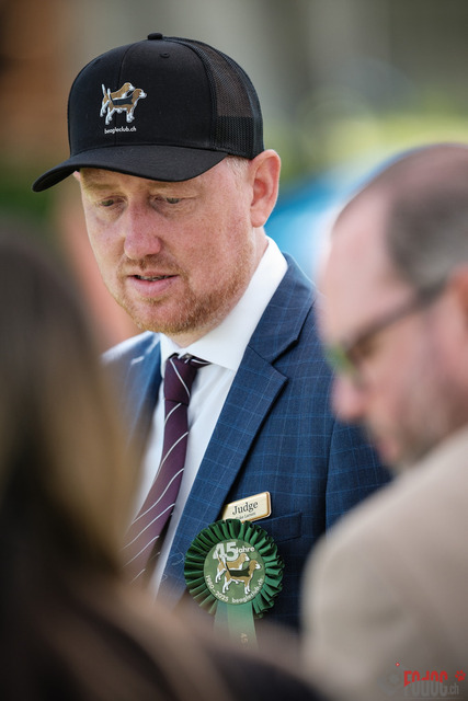 Beagle Club Schweiz  | Beagle Club Schweiz, 45 Jahre in Menziken 2025 Foto: Leo Wyden