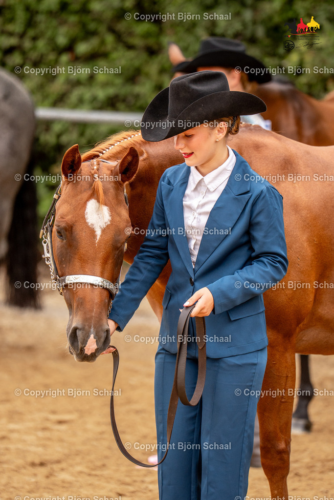 LMS06876 | BS-foto