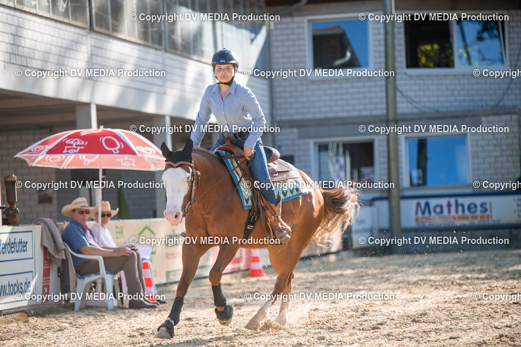 EWP_7114 | dv-media-shop - Realisiert mit Pictrs.com