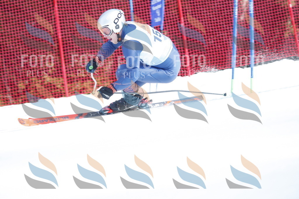 D7357 | holidayphoto