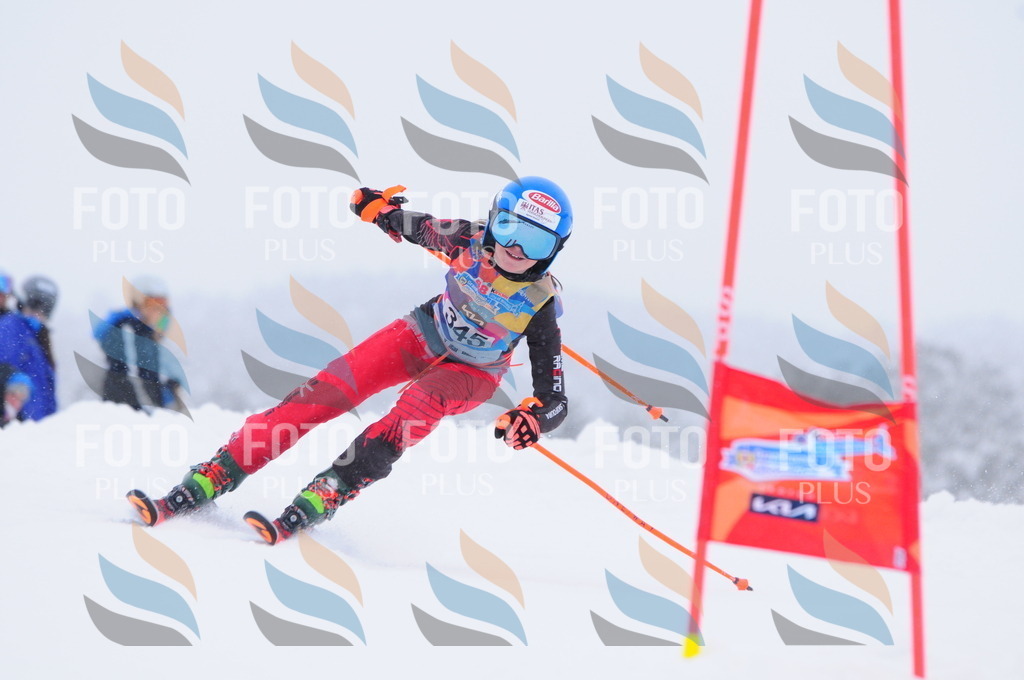 C3699 | holidayphoto