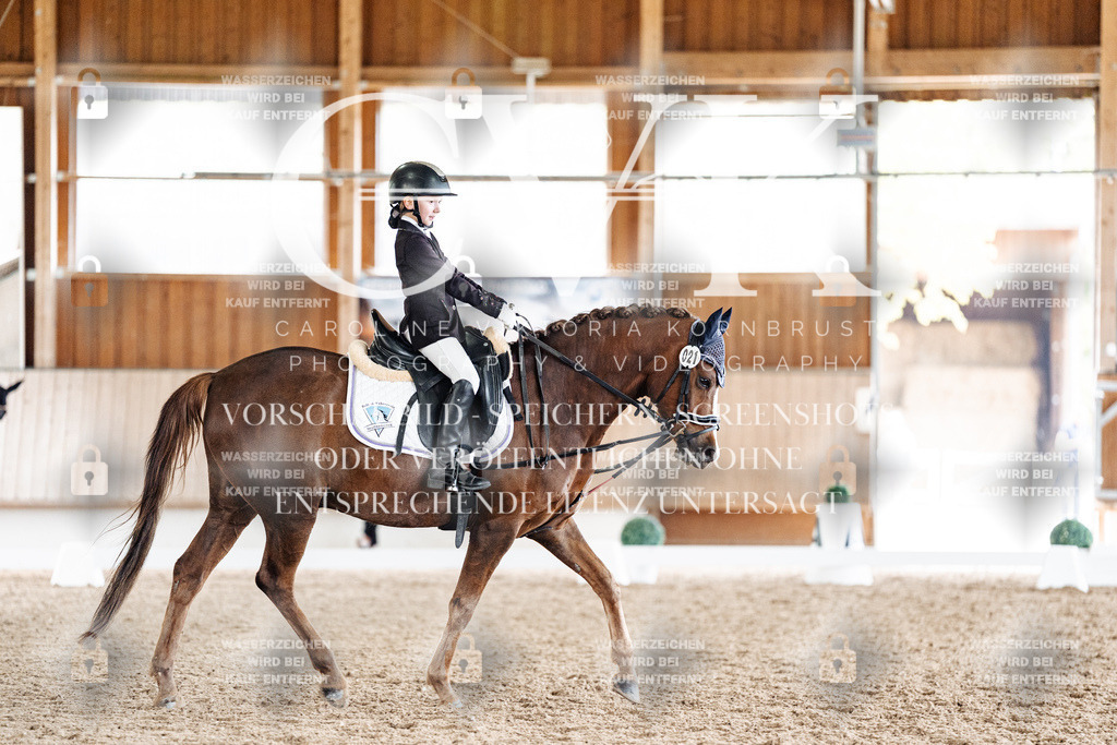 CK901647 | Turnierfotografie Pferdefotografie Trier Rheinland-Pfalz Pferdesport Reitsport Tierfotografie Sportfotografie Pferdevideo Pferdevideografie Equestrianvideography equestrianphotography  - Realisiert mit Pictrs.com