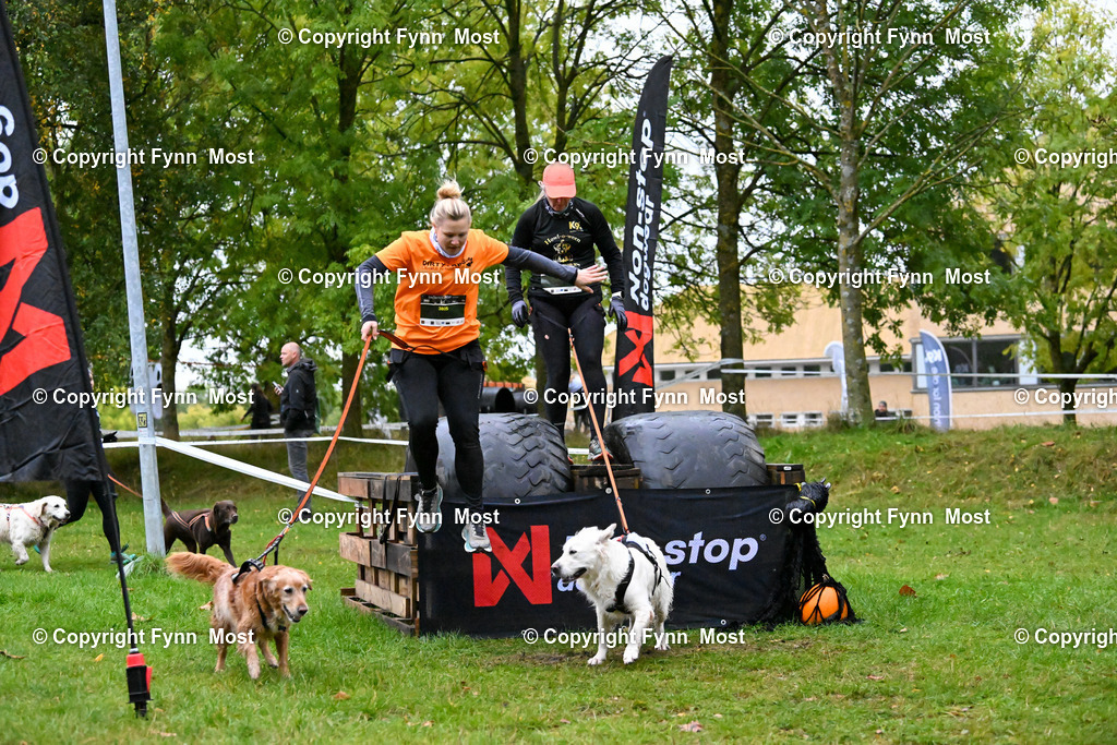 DSC_1512 | Hallo und herzlich Willkommen auf meiner Shop-Seite Fynn Most.

Ich wünsche Dir viel Spaß beim stöbern durch die Bilder, wenn Du Fragen hast oder Bilder vermisst, kannst du mir gerne eine Nachricht schreiben. - Realisiert mit Pictrs.com