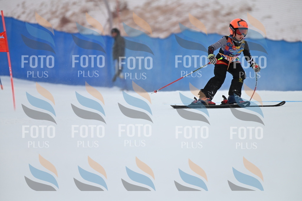 BGV_1753 | holidayphoto