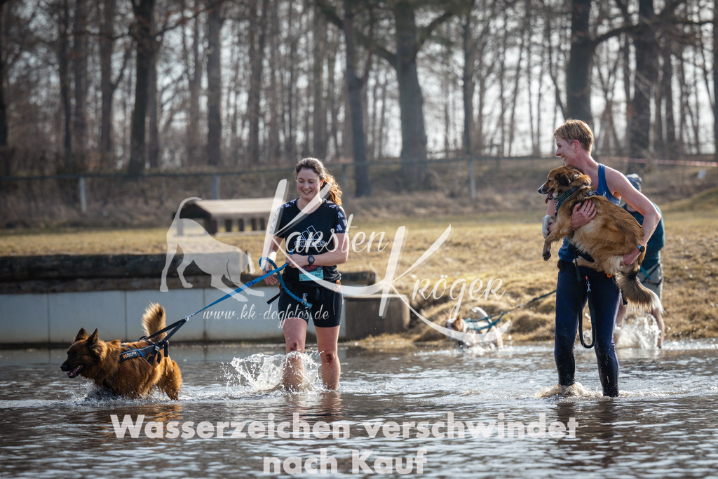 1100_ZZ91311 | kk-dogfotos