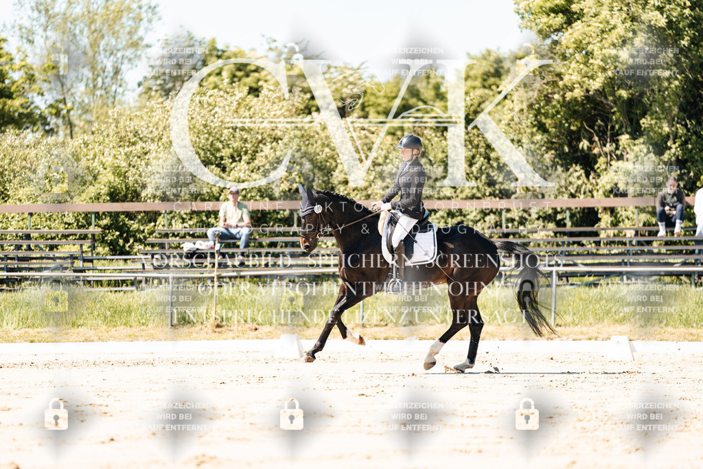 CK905076 | Turnierfotografie Pferdefotografie Trier Rheinland-Pfalz Pferdesport Reitsport Tierfotografie Sportfotografie Pferdevideo Pferdevideografie Equestrianvideography equestrianphotography  - Realisiert mit Pictrs.com
