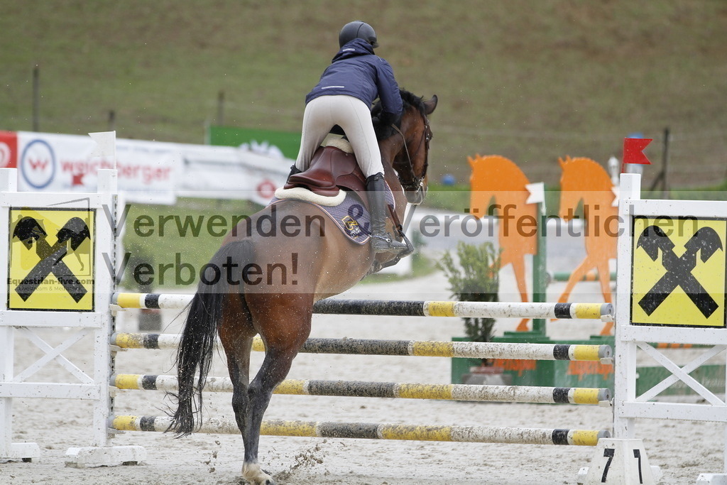 _MG_1627 | equestrian-live-com