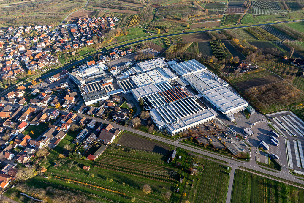 Luftbild: Progress-Werk Oberkirch im Ortsteil Stadelhofen in Oberkirch im Bundesland Baden-Württemberg in Deutschland. Foto: IMG_119927.jpg vom 30.11.2019 durch Werner Riehm/FLY-FOTO.de