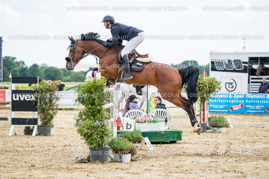 DSC06920 | Pferdegrafie