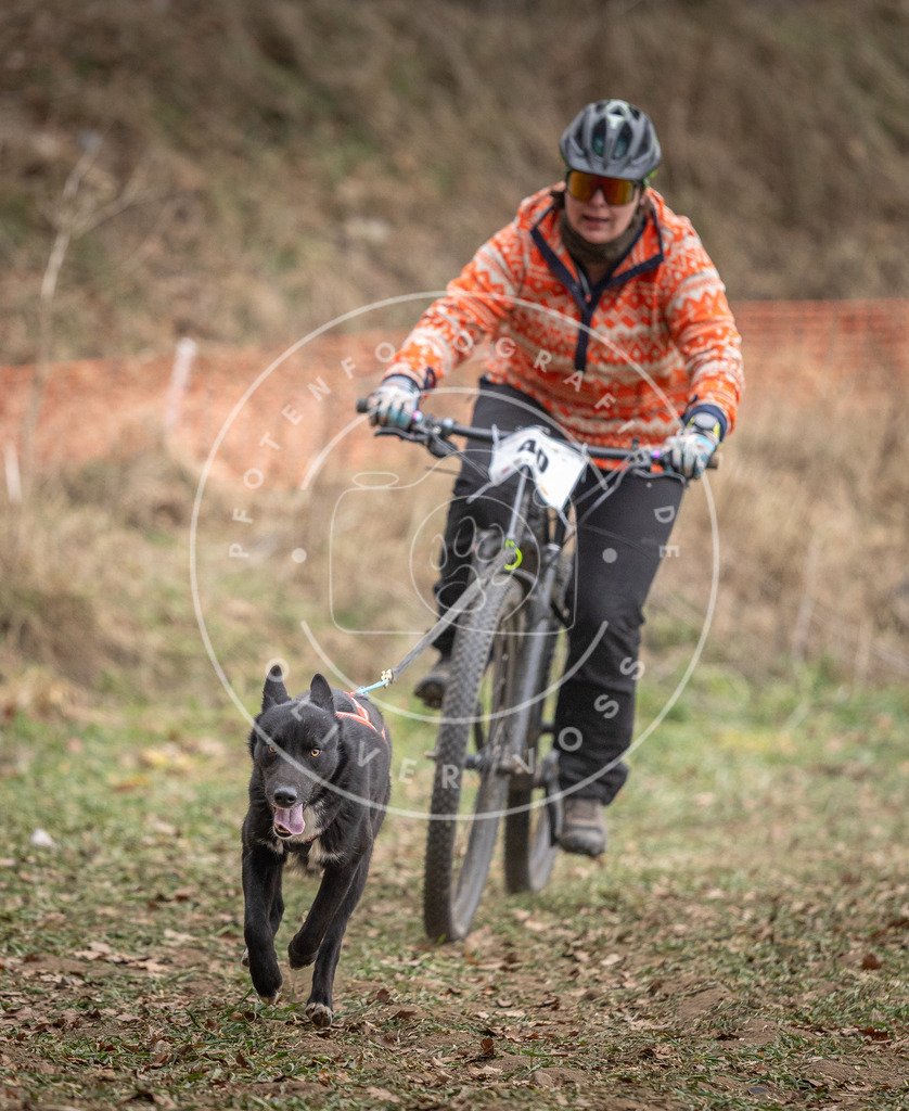 Pfotenfotografie_DV3A5989 | Hundefotografie, Tierfotograf, Pfotenfotografie, Fotoshooting Hund, Hunde Portrait, Hundesport, Hundeportraits, Heideshooting, Hunde, Sportfotograf, Hundefotograf, Turnierhundsport, THS,  - Realisiert mit Pictrs.com