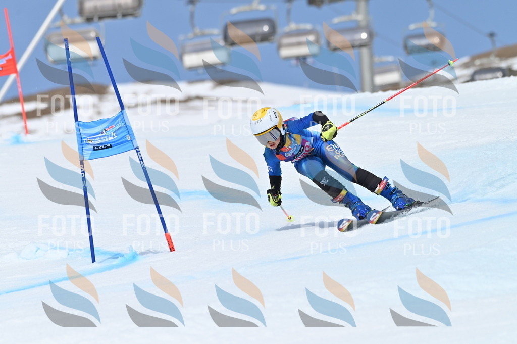 BGV_2407 | holidayphoto