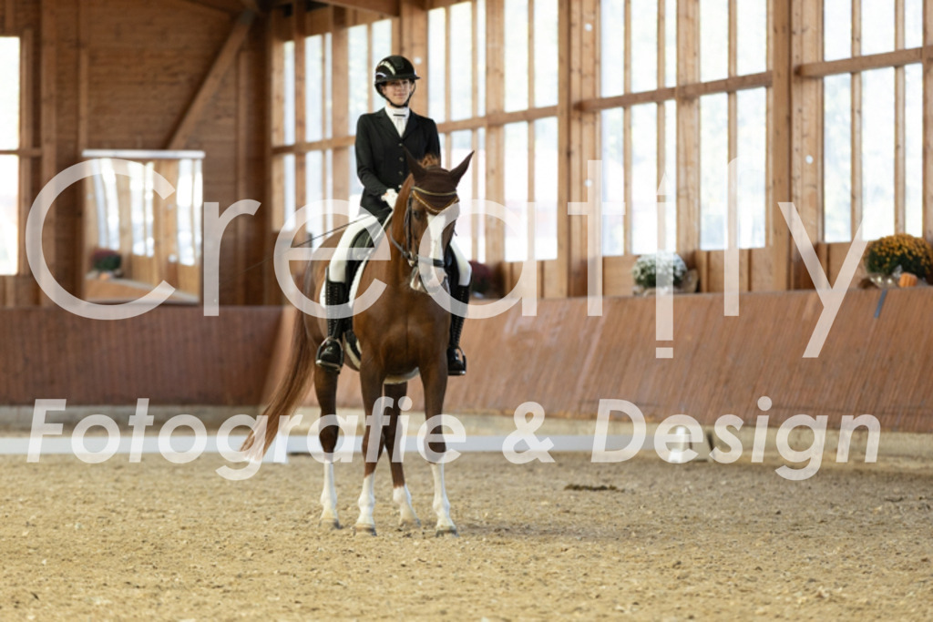 IMG_5206 | Creatify Fotografie