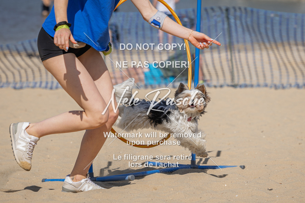 nelerasche_saBeachility_323 | nelerasche
