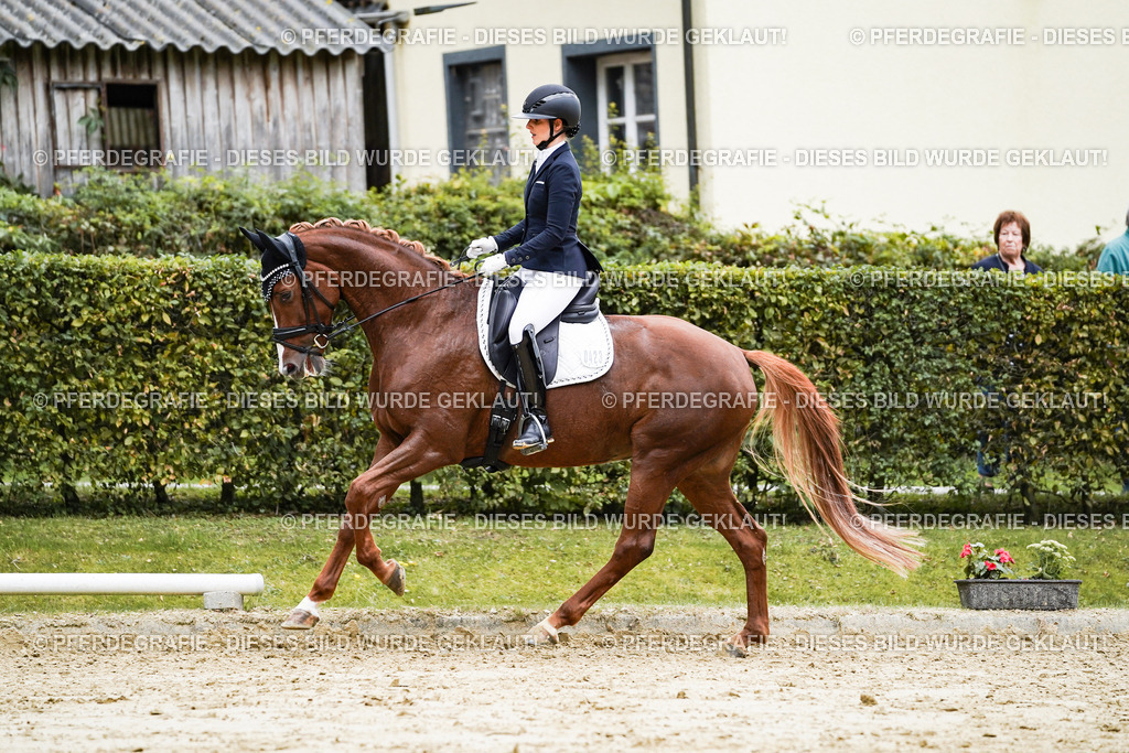 DSC07015 | Pferdegrafie