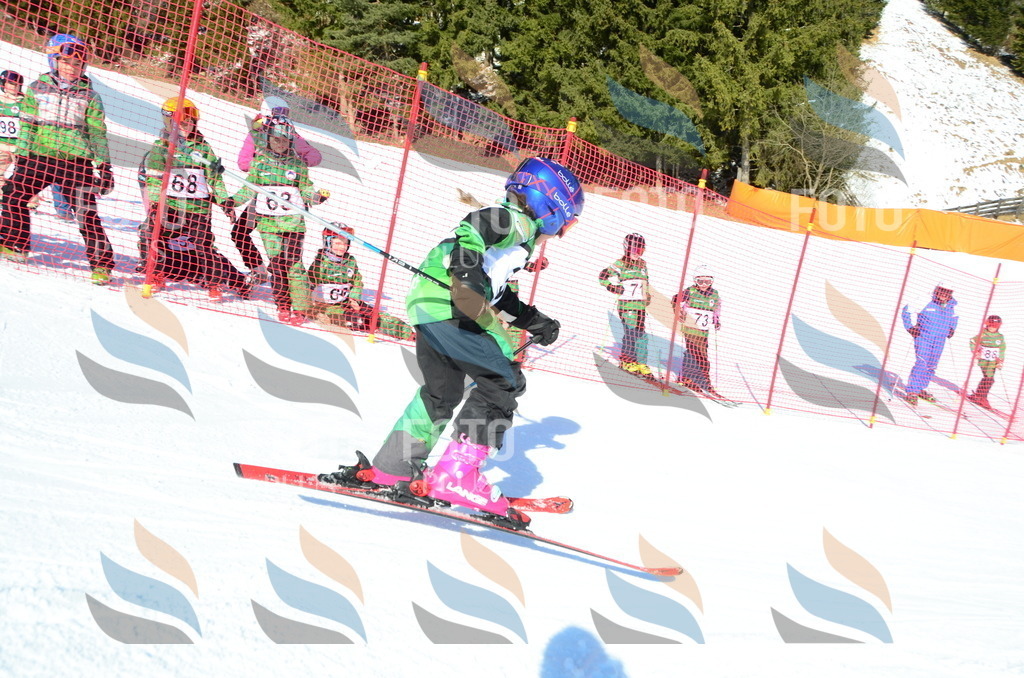 C4987 | holidayphoto