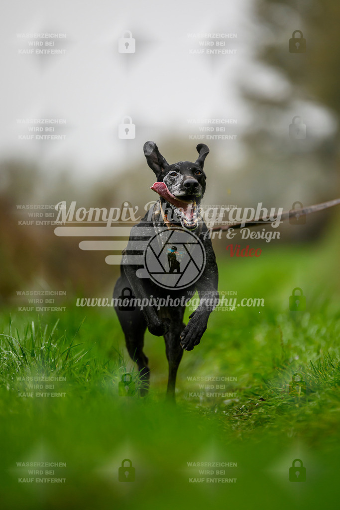 MompixPhotography_20TSB_E8_Bike-82 | PayLife