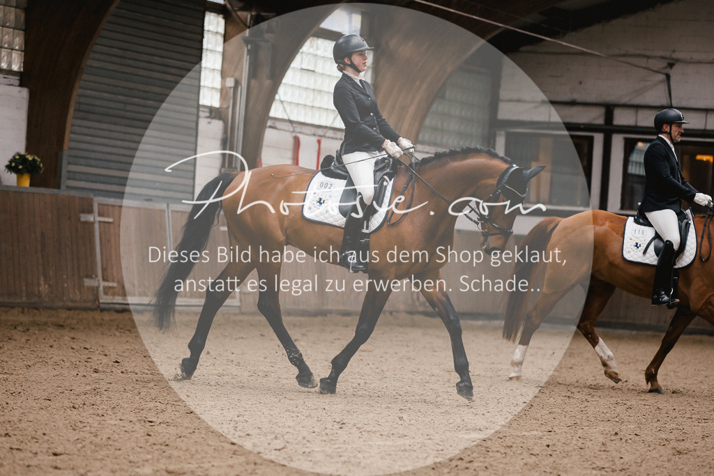 3I6A7196 | Stimmungsvolle Portraits und Reitsportfotografie im Ruhrgebiet und im Münsterland.

Pferdefotografie, Hundefotografie, Tierfotografie, Reportagen, Portraits von Tier und Mensch, Turnierfotografie in Bochum, Recklinghausen, Marl, Haltern am See, Dülmen.. - Realisiert mit Pictrs.com