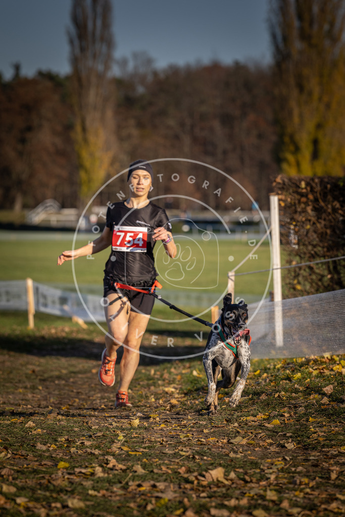 CaniXpix_DV3A2519 | Hundefotografie, Tierfotograf, Pfotenfotografie, Fotoshooting Hund, Hunde Portrait, Hundesport, Hundeportraits, Heideshooting, Hunde, Sportfotograf, Hundefotograf, Turnierhundsport, THS,  - Realisiert mit Pictrs.com