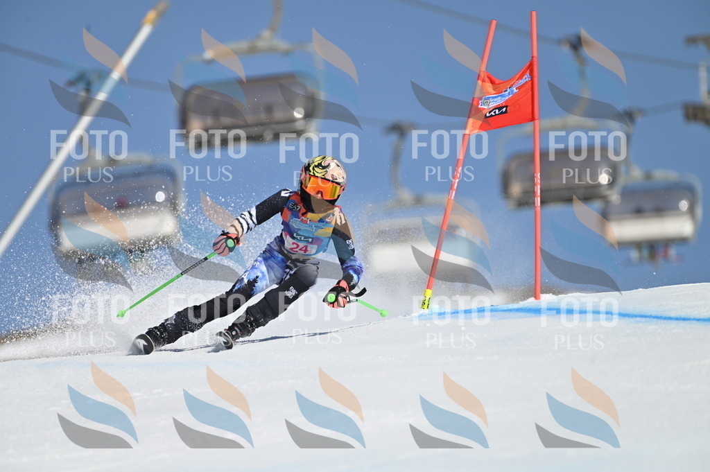 BGV_8015 | holidayphoto