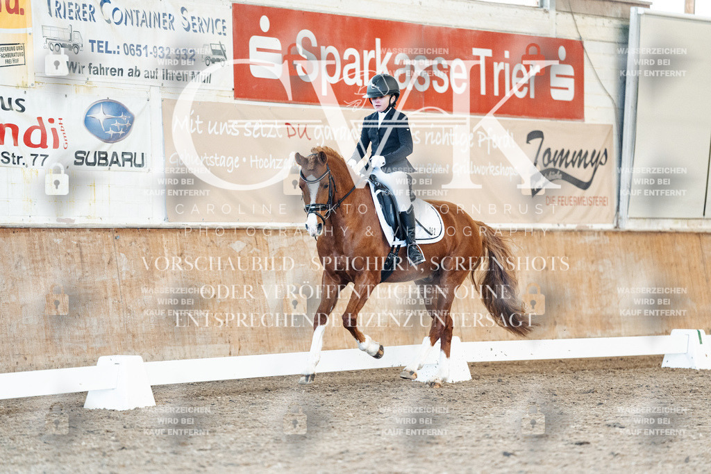 CK908234 | Turnierfotografie Pferdefotografie Trier Rheinland-Pfalz Pferdesport Reitsport Tierfotografie Sportfotografie Pferdevideo Pferdevideografie Equestrianvideography equestrianphotography  - Realisiert mit Pictrs.com