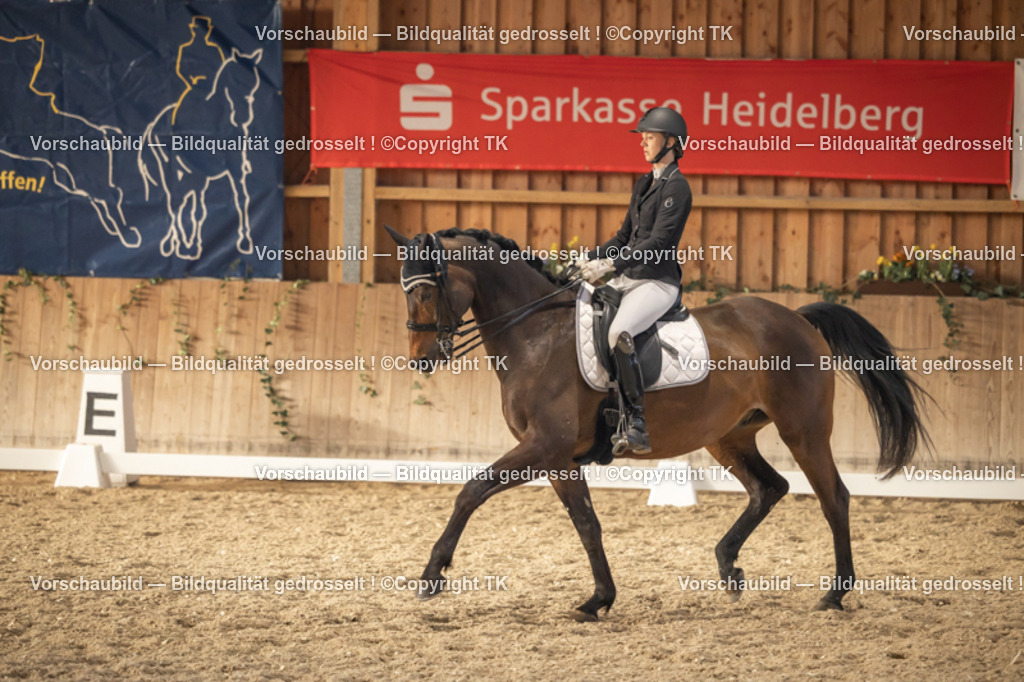 _D5A3389 | Emotionale Pferde- & People-Fotografie rund um Heidelberg, Leimen & Umgebung. Natürliche Fotos von Pferd, Mensch & Familie. Jetzt Termin sichern!