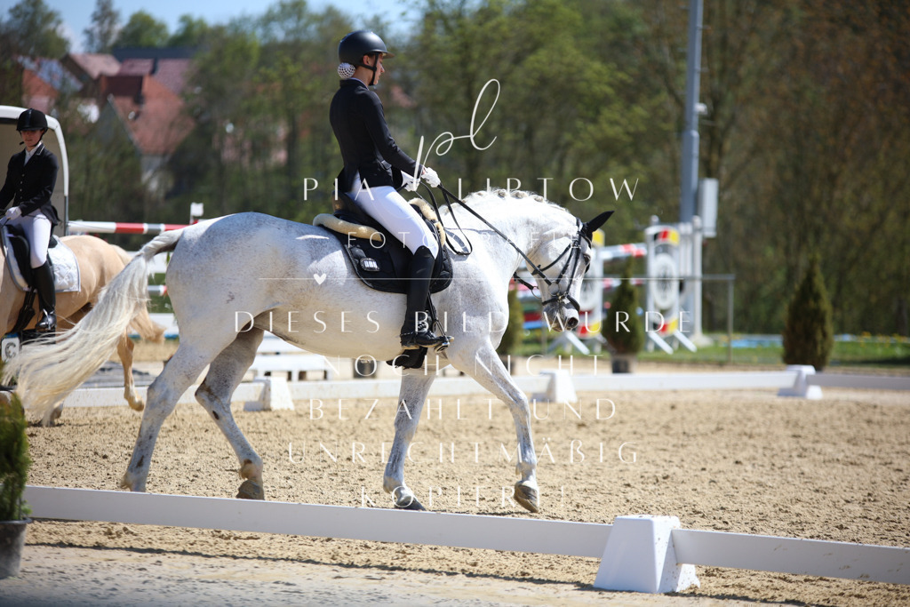 IMGT1693 | pl-fotografie