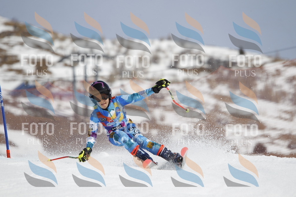 _U3G1652 | holidayphoto