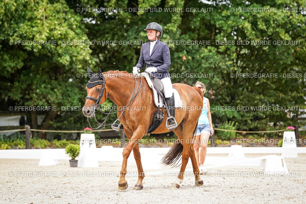 DSC05071 | Pferdegrafie