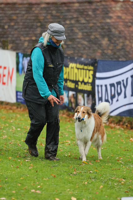2025_Rally_Obedience_SM-162 | Ich fotografiere Hundeausstellungen, Sportanlässe, Zuchtstätten, Hundezucht, Hundeportrait, Lagotto - Realisiert mit Pictrs.com