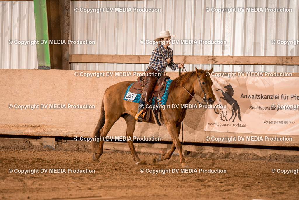 BA400377 | dv-media-shop - Realisiert mit Pictrs.com